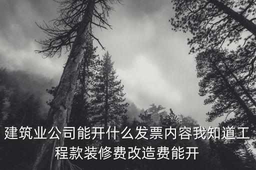建筑業(yè)開票開什么內(nèi)容，建筑行業(yè)需要開些什么票