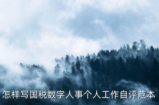 國稅數(shù)字人事是什么，專業(yè)的除了可以考會(huì)計(jì)證和證券從業(yè)資格證以為還可以考什么證