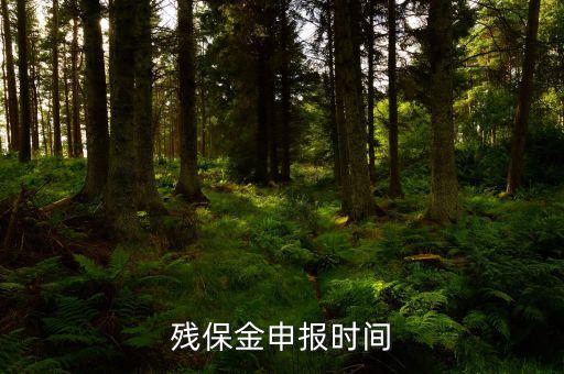 2016殘保金什么時(shí)候交，殘保金是一年一交嗎