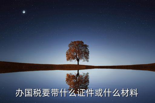新辦國(guó)稅需要什么資料，第一次買(mǎi)國(guó)稅發(fā)票需要些什么手續(xù)