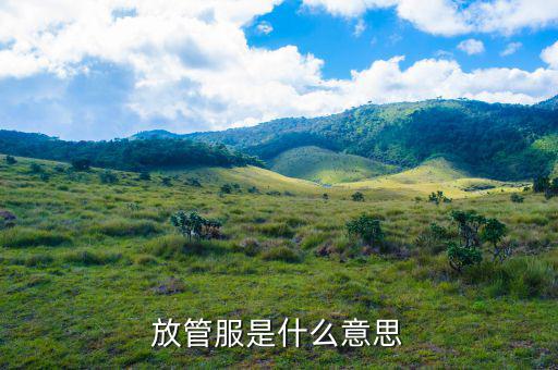 放管服是什么意思