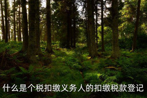 什么是個稅扣繳義務人的扣繳稅款登記