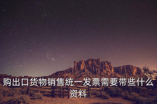 購(gòu)出口貨物銷售統(tǒng)一發(fā)票需要帶些什么資料