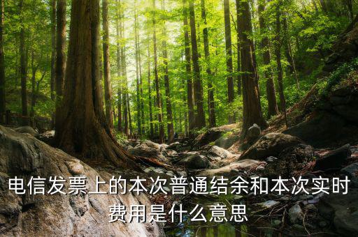 結(jié)余發(fā)票是什么，電信交話費(fèi)發(fā)票上本次普通結(jié)余是什么意思啊 實(shí)時(shí)費(fèi)用又是什么意思啊