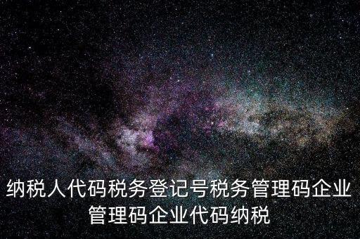 納稅人管理代碼是什么，納稅人代碼稅務登記號稅務管理碼企業(yè)管理碼企業(yè)代碼納稅