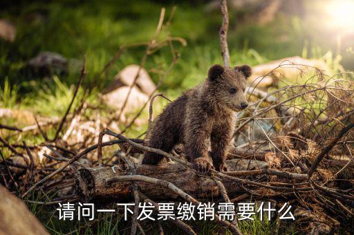 發(fā)票繳銷要需要帶什么，去國稅注銷發(fā)票需要帶什么呢