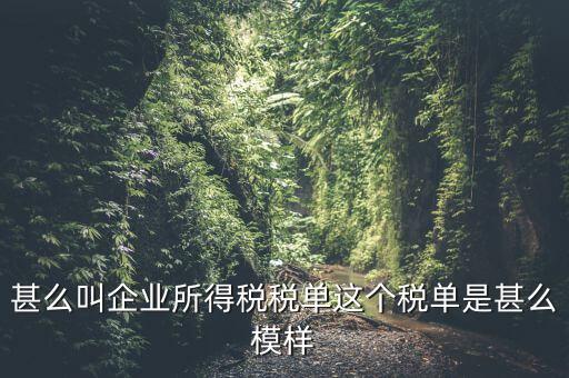 企業(yè)所得稅稅單是什么，稅單是什么怎樣提供稅單