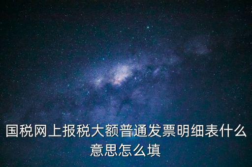 國(guó)稅網(wǎng)上報(bào)稅大額普通發(fā)票明細(xì)表什么意思怎么填
