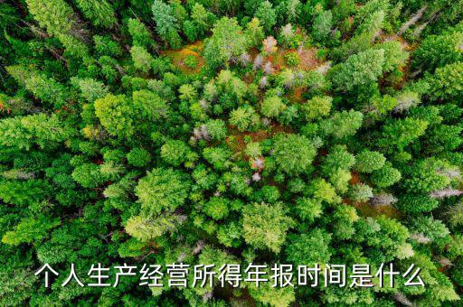 個(gè)人生產(chǎn)經(jīng)營所得年報(bào)時(shí)間是什么