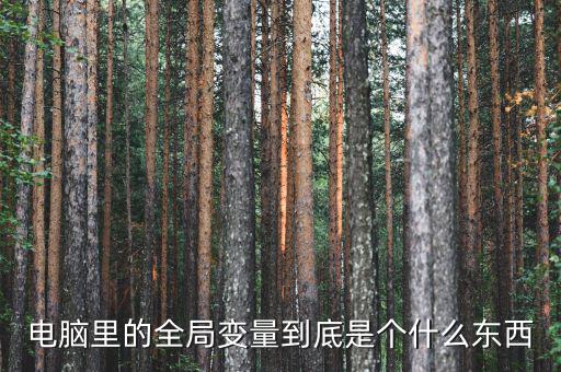 全局是什么意思，什么是指導(dǎo)全局工作決定全局命運(yùn)的方針方式和計(jì)劃