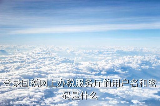 登錄國稅網(wǎng)上辦稅服務廳的用戶名和密碼是什么