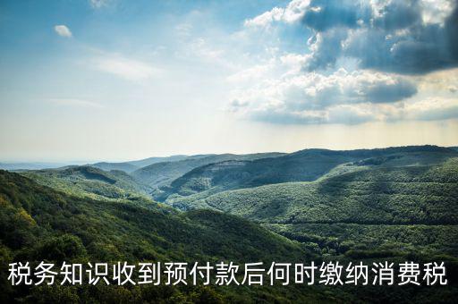 消費稅是什么時候交，各種稅費交納時間