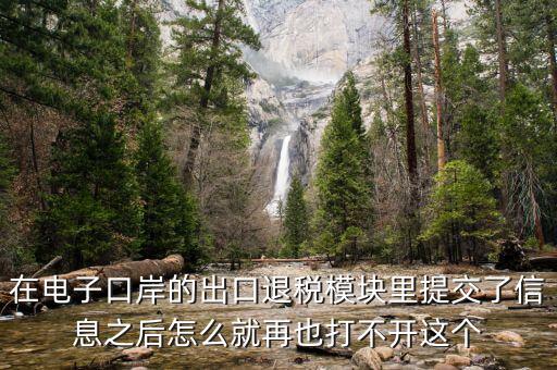 為什么退稅平臺進不去，在電子口岸的出口退稅模塊里提交了信息之后怎么就再也打不開這個