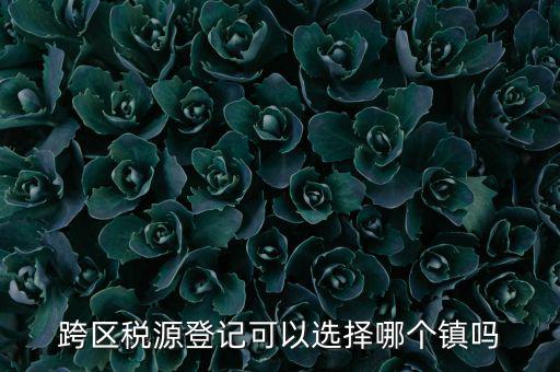 跨區(qū)稅源登記是什么，跨區(qū)稅源登記能否登記為一般納稅人