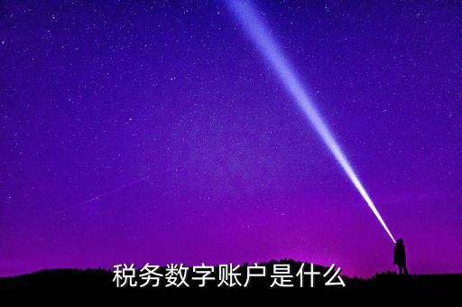 稅務(wù)數(shù)字賬戶(hù)是什么