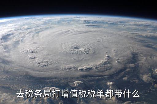 國稅局打印稅單要什么，到稅務(wù)打印稅單需要什么資料