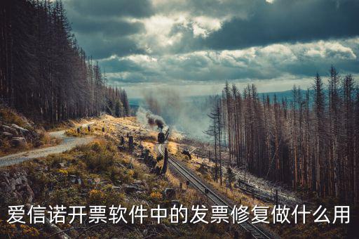 愛(ài)信諾開(kāi)票軟件中的發(fā)票修復(fù)做什么用