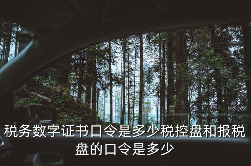國稅證書口令是什么，我想問下國家稅務(wù)網(wǎng)上申報點擊安全登錄時出現(xiàn)的用戶口令是什么