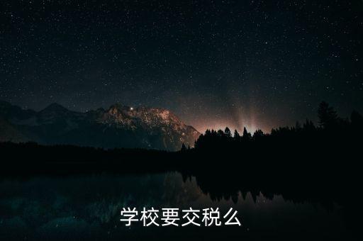 民辦學(xué)校交什么稅，你好我想問問民辦學(xué)?？梢砸髮W(xué)生補(bǔ)課嗎把補(bǔ)課的錢作為必交費(fèi)