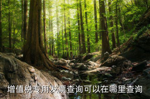 什么地方可以查發(fā)票內(nèi)容，怎樣通過(guò)發(fā)票號(hào)碼查尋發(fā)票內(nèi)容