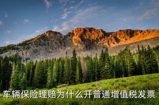 車(chē)輛保險(xiǎn)理賠為什么開(kāi)普通增值稅發(fā)票