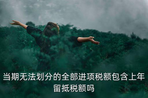 當(dāng)期無法劃分的全部進項稅額包含上年留抵稅額嗎