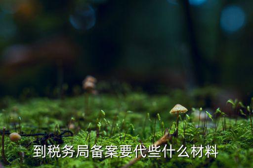 稅務(wù)備案表需要什么，稅務(wù)備案需要哪些資料