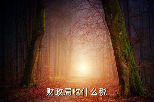 財政局征收什么稅，現(xiàn)行由財政機關(guān)征收的稅收有哪些拜托各位大神