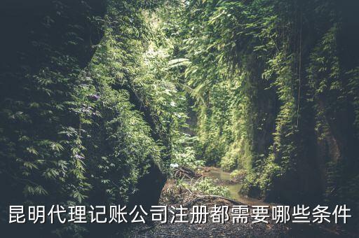 昆明報(bào)稅要什么條件，httpswwwkmgsgovcn 我是一個新客戶要怎樣才能進(jìn)入昆明國稅局