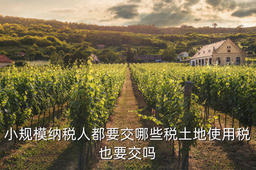 小規(guī)模納稅人交什么稅，小規(guī)模納稅人要交哪些稅