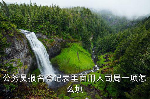 國稅局的用人司局填什么，公務員報名登記表里面用人司局一項怎么填