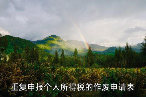 申報表作廢申請單 要帶什么，國稅報表作廢帶什么