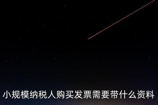 小規(guī)模納稅人購(gòu)買發(fā)票需要帶什么資料