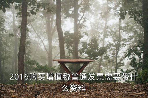 2016領(lǐng)發(fā)票需要帶什么，2016購(gòu)買(mǎi)增值稅普通發(fā)票需要帶什么資料