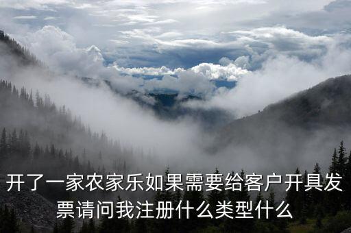 我要是以開普票為主 注冊(cè)什么性質(zhì)的公司好，開了一家農(nóng)家樂如果需要給客戶開具發(fā)票請(qǐng)問我注冊(cè)什么類型什么