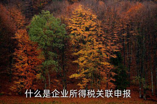稅務(wù)關(guān)聯(lián)表是什么意思，所得稅中關(guān)聯(lián)關(guān)系是什么意思
