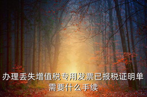 辦理丟失增值稅專(zhuān)用發(fā)票已報(bào)稅證明單需要什么手續(xù)