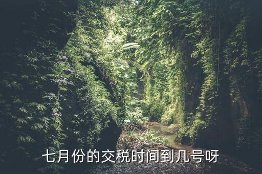 福建地稅7月報(bào)稅到什么時候，請問7月份國稅地稅的征期截止到哪天