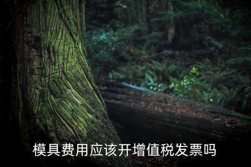 模具設計開發(fā)費開什么發(fā)票，模具開發(fā)及制造費一般開什么發(fā)票明細
