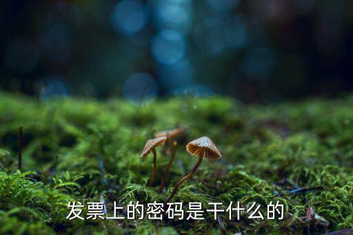 湖南汽車發(fā)票密碼是什么意思，發(fā)票上的密碼是做什么用的啊