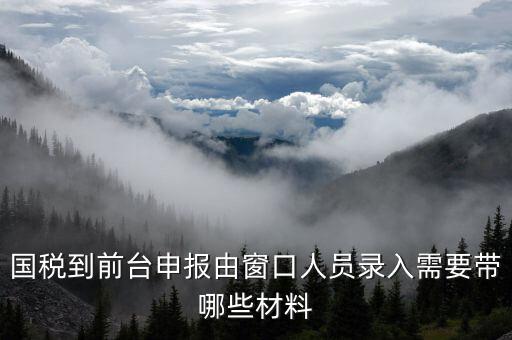 國稅到前臺(tái)申報(bào)由窗口人員錄入需要帶哪些材料