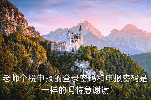 安徽個(gè)稅申報(bào)密碼是什么，老師個(gè)稅申報(bào)的登錄密碼和申報(bào)密碼是一樣的嗎特急謝謝