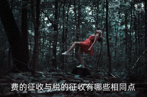 稅與費有什么區(qū)別 稅收具有，費的征收與稅的征收有哪些相同點