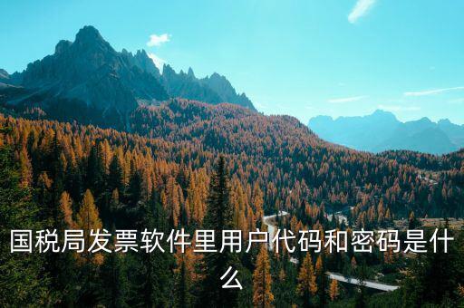 湖南汽車發(fā)票密碼是什么，國稅局發(fā)票軟件里用戶代碼和密碼是什么