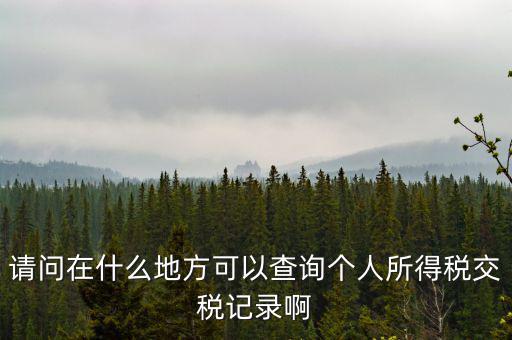 請問在什么地方可以查詢個人所得稅交稅記錄啊