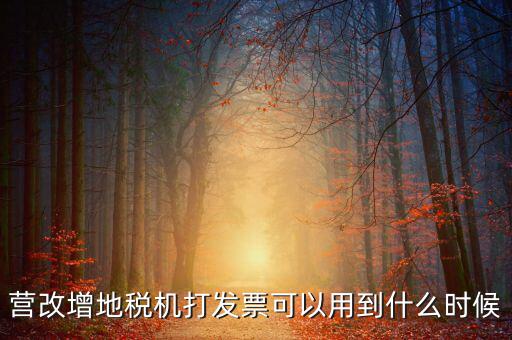 地稅發(fā)票能用到什么時(shí)候，納稅人已領(lǐng)取地稅機(jī)關(guān)印制的發(fā)票可以使用到什么時(shí)候