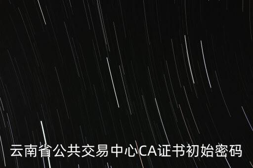 ca證書的原始密碼是什么意思，云南省公共交易中心CA證書初始密碼