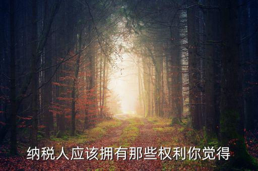 納稅人的權(quán)益有什么，納稅人應(yīng)該擁有那些權(quán)利你覺得