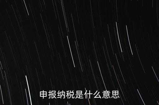 通用申報(bào)稅是什么，非稅收入通用申報(bào)表是什么稅