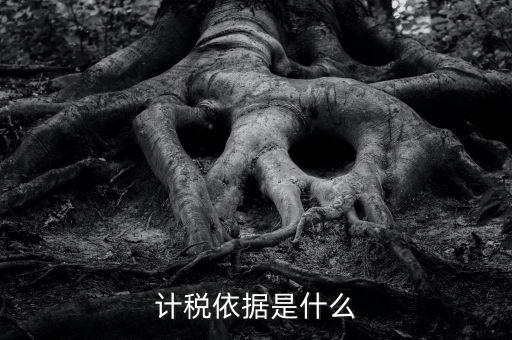 企業(yè)所得稅的計(jì)稅依據(jù)是什么，計(jì)稅依據(jù)是什么